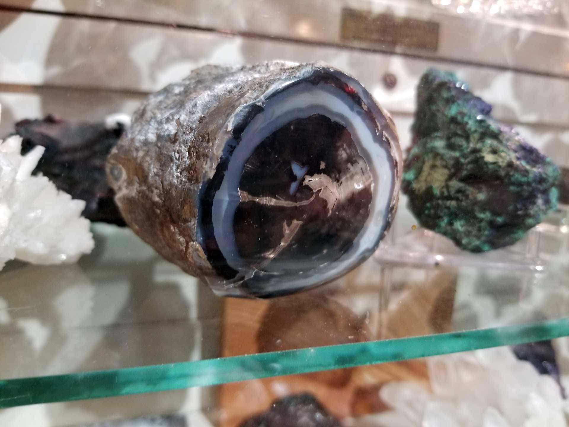 ftgu_23-01-06_bd_shop-pics_117